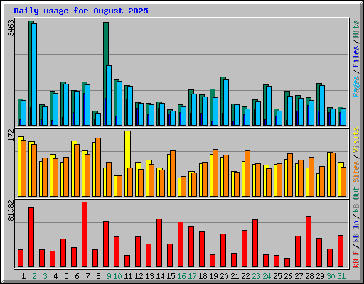 Daily usage for August 2025