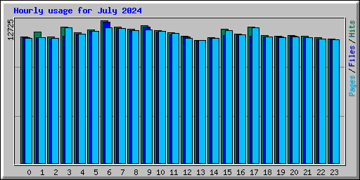 Hourly usage for July 2024