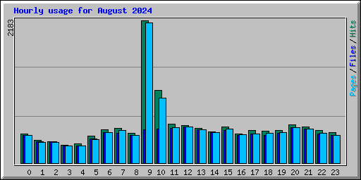 Hourly usage for August 2024