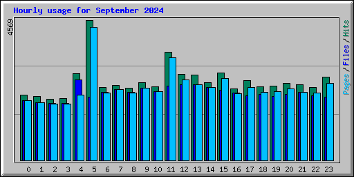 Hourly usage for September 2024