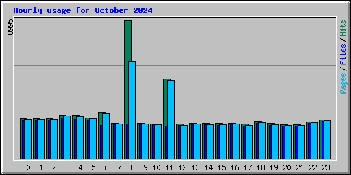 Hourly usage for October 2024