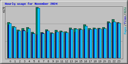 Hourly usage for November 2024