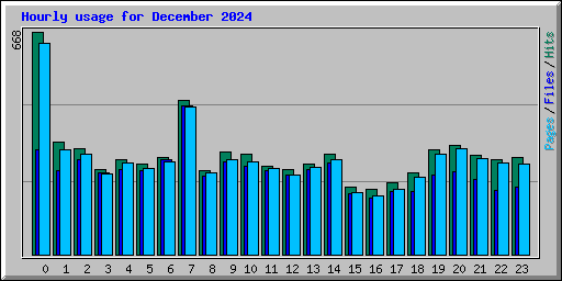 Hourly usage for December 2024