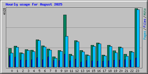 Hourly usage for August 2025