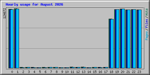 Hourly usage for August 2026